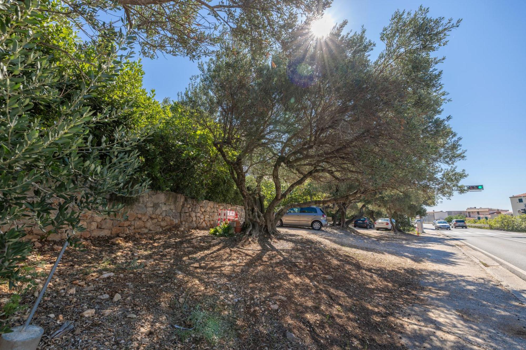 Apartmani Marta Tučepi Εξωτερικό φωτογραφία