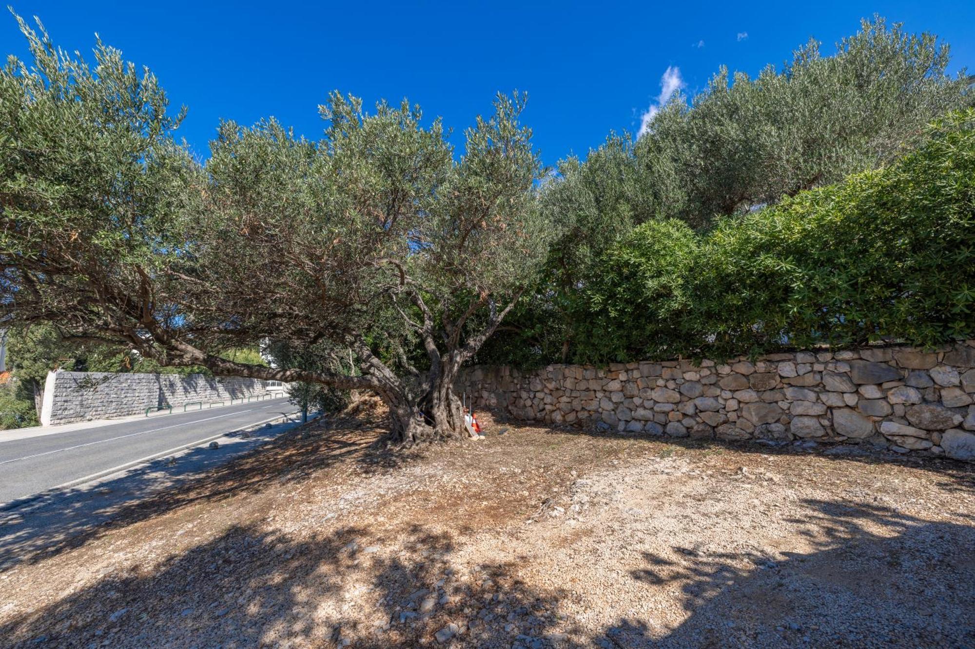 Apartmani Marta Tučepi Εξωτερικό φωτογραφία