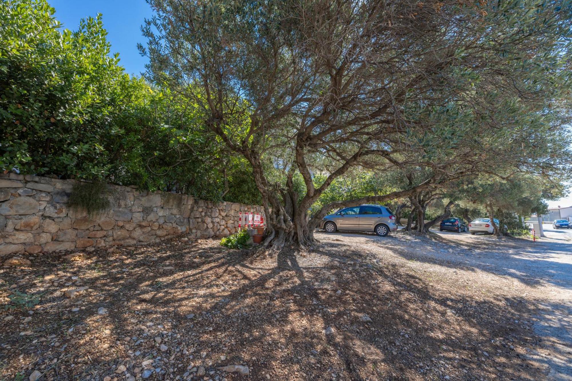 Apartmani Marta Tučepi Εξωτερικό φωτογραφία